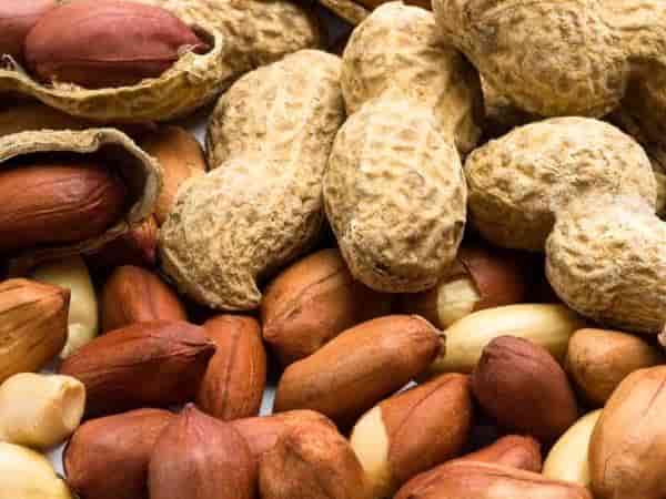 تصویر 1 از قیمت روز بادام زمینی کوهی